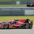 IMG 7615