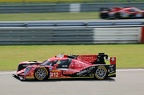 IMG 7615