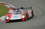 IMG 7980